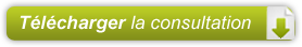 Télécharger la consultation